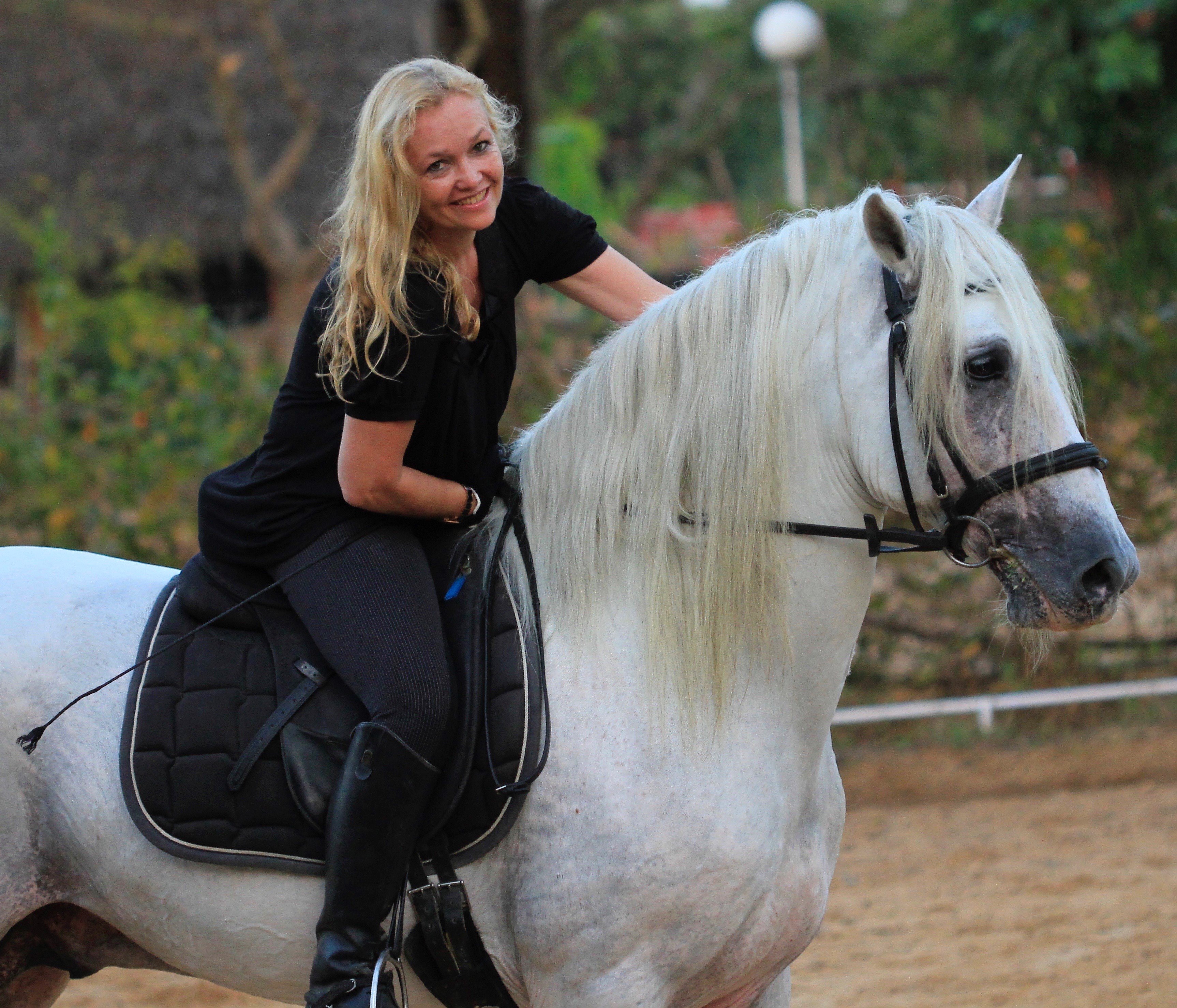 Equine Inspired